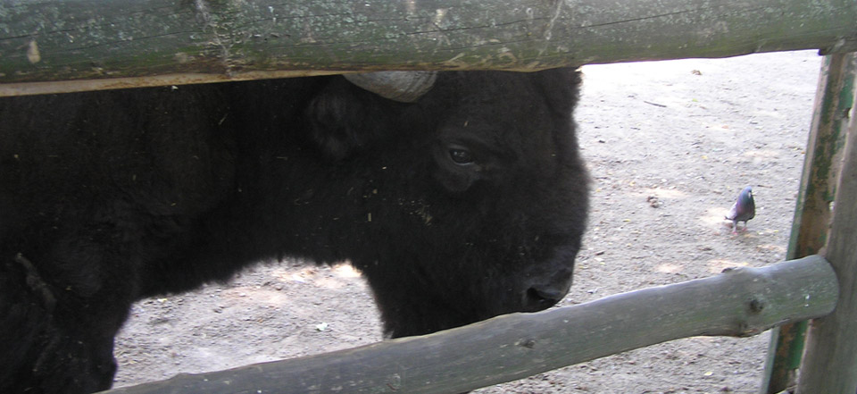 卡密平台稳定的ddos在线攻击